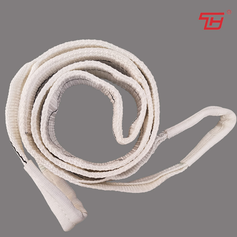 Color Code Duplex Lifting Pulley Polyester Flat bing Sling 25mm 300mm 1T